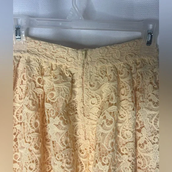 H&M Lace Midi skirt - Picture 10 of 12